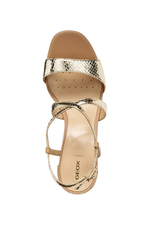 ERAKLIA 80 T01 WOMAN