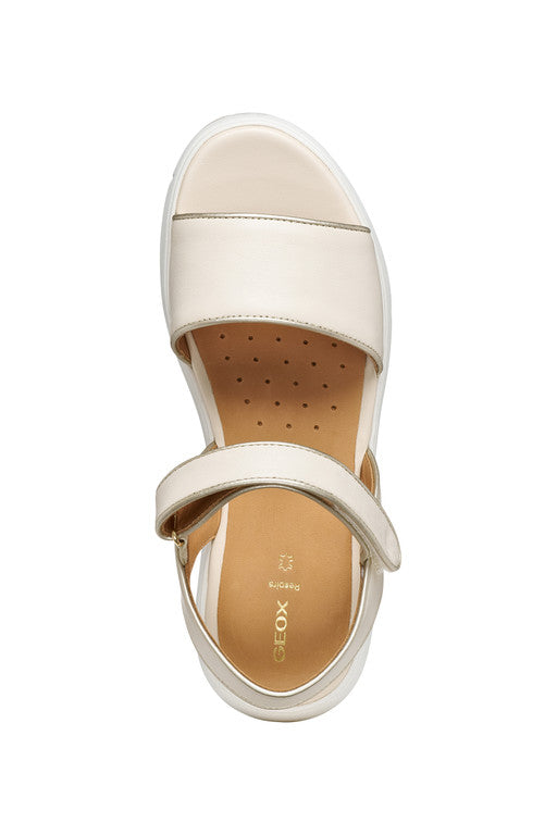 NEBULA 2.0 C S WOMAN