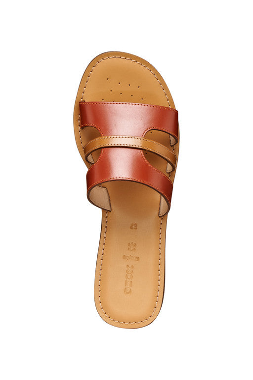 MADDALUSIA C WOMAN