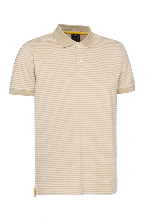 POLO MAN